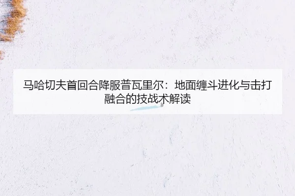 ma-ha-qie-fu-shou-hui-he-xiang-fu-pu-wa-li-er-di-mian-chan-dou-jin-hua-yu-ji-da-rong-he-de-ji-zhan-shu-jie-du-2-424.jpg