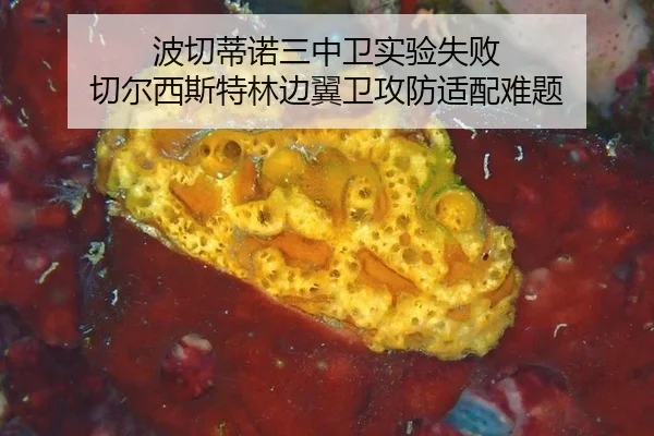 bo-qie-di-nuo-san-zhong-wei-shi-yan-shi-bai-qie-er-xi-si-te-lin-bian-yi-wei-gong-fang-shi-pei-nan-ti-2-314.jpg